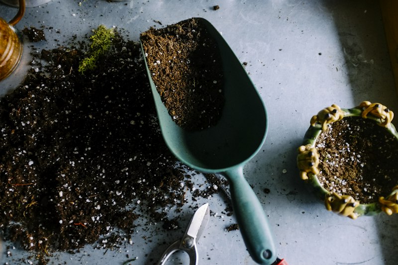 Garden maintenance