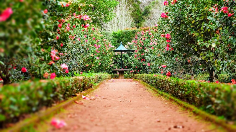 Landscape design